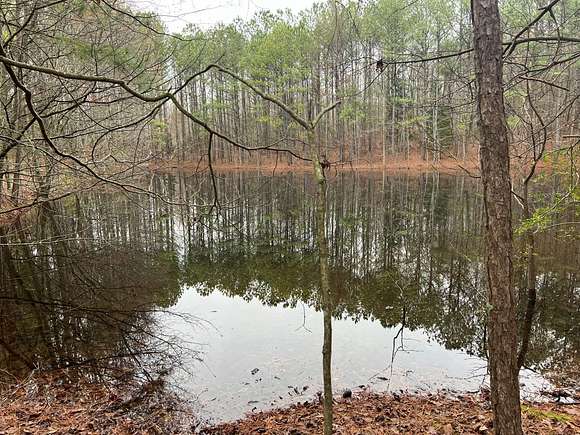 60 Acres of Recreational Land for Sale in Blountsville, Alabama