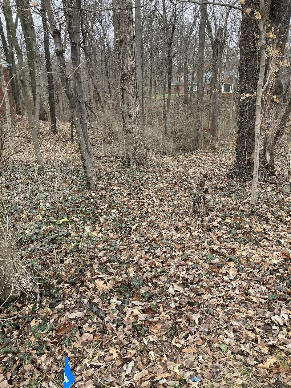 0.36 Acres of Residential Land for Sale in Indianapolis, Indiana