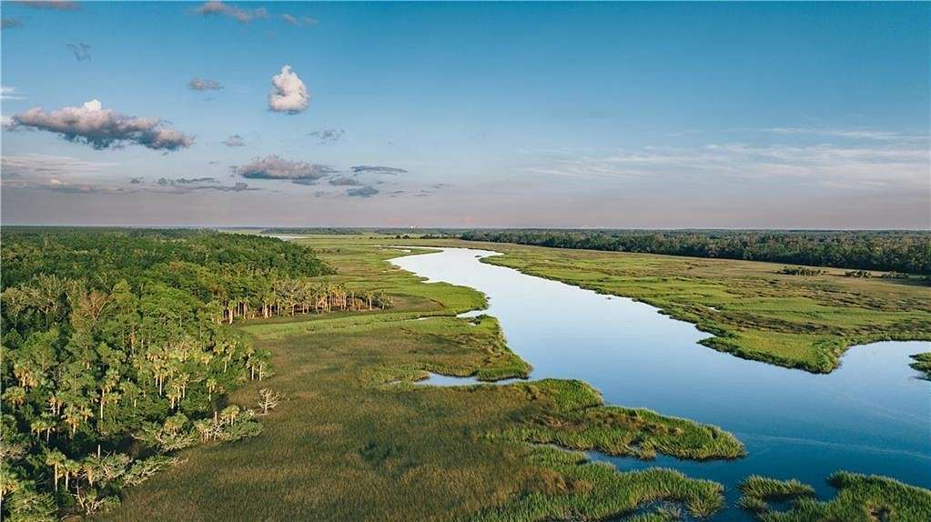 136 Acres of Recreational Land for Sale in Brunswick, Georgia