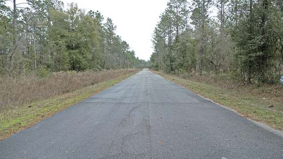 0.24 Acres of Residential Land for Sale in Dunnellon, Florida