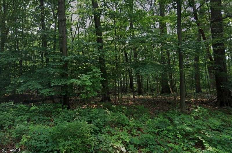 Residential Land for Sale in Mount Olive Township, New Jersey