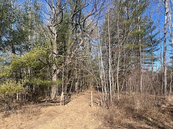 40 Acres of Land for Sale in Gillett, Wisconsin