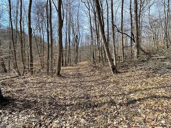 65.4 Acres of Recreational Land for Auction in Bowerston, Ohio