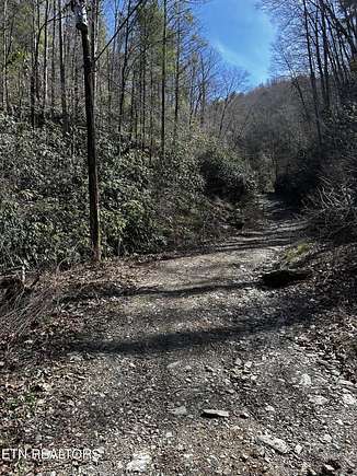 68.44 Acres of Land for Sale in Tellico Plains, Tennessee