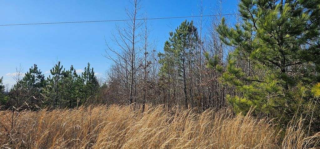 5 Acres of Residential Land for Sale in Henry, Tennessee