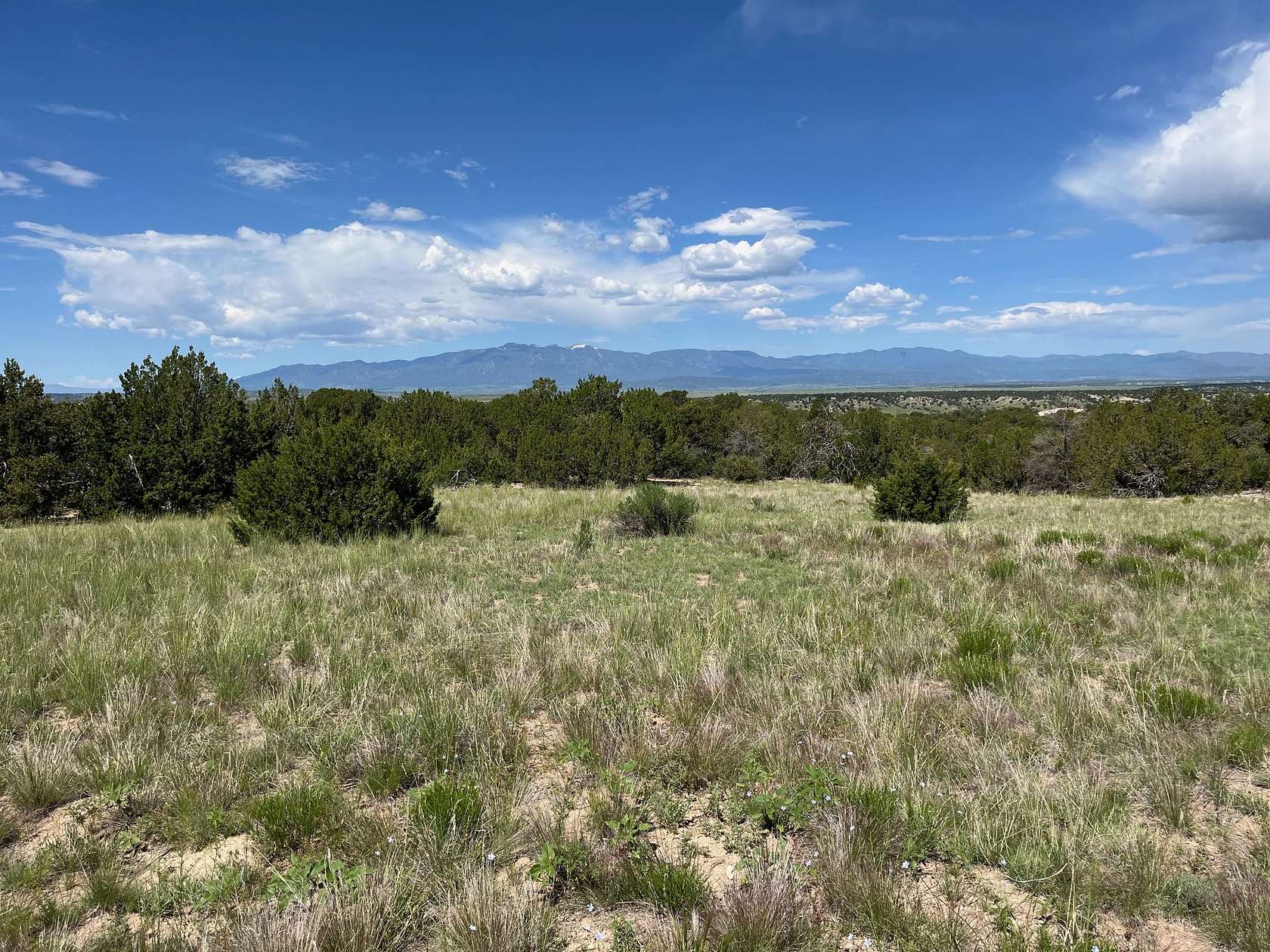 40 Acres of Recreational Land for Sale in Pueblo, Colorado