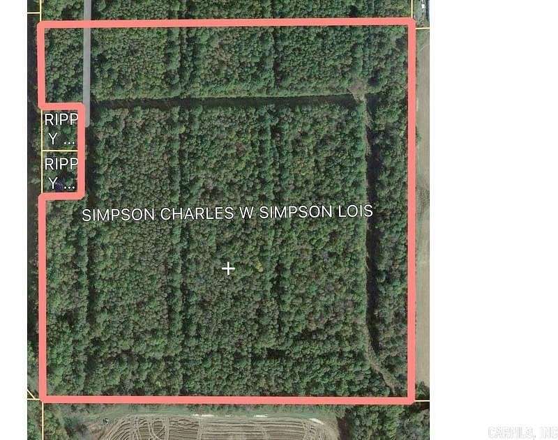 62 Acres of Agricultural Land for Sale in Paragould, Arkansas