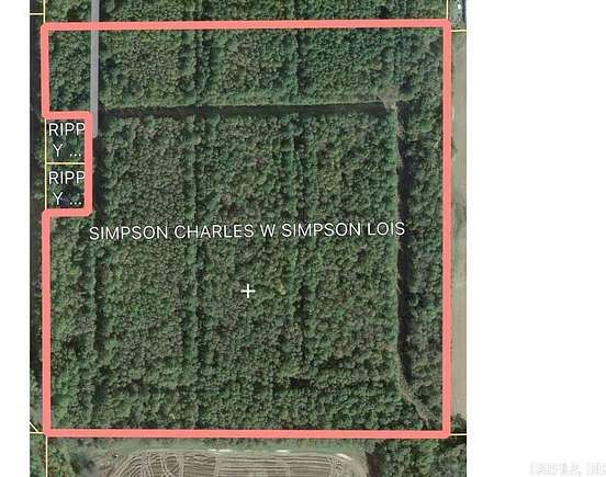 62 Acres of Agricultural Land for Sale in Paragould, Arkansas