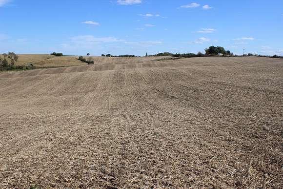 53.2 Acres of Agricultural Land for Sale in Charlotte, Iowa