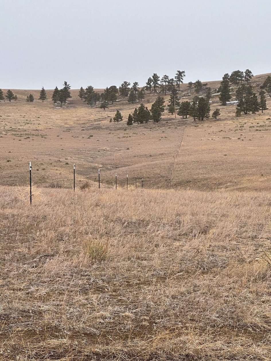 20 Acres of Land for Sale in Shawmut, Montana