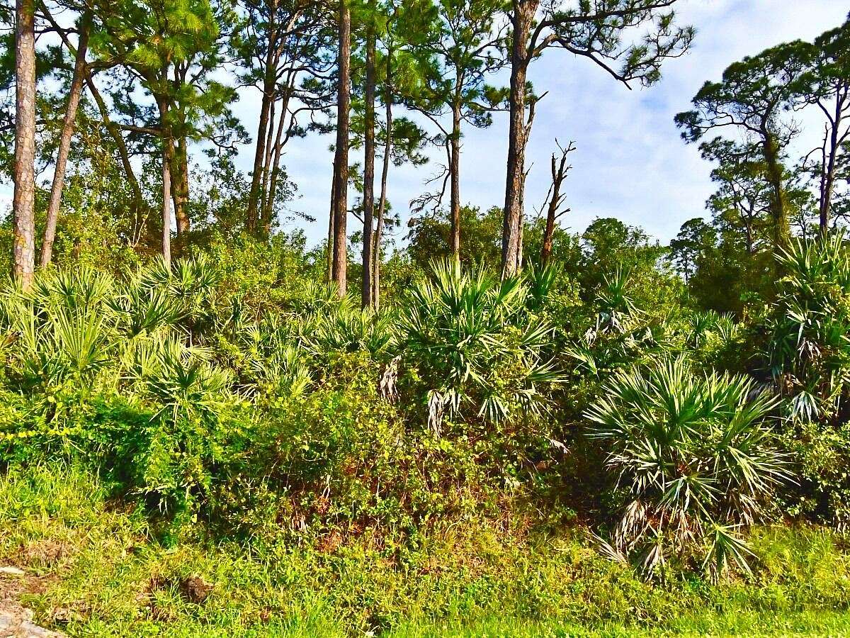 0.14 Acres of Residential Land for Sale in Fort Pierce, Florida