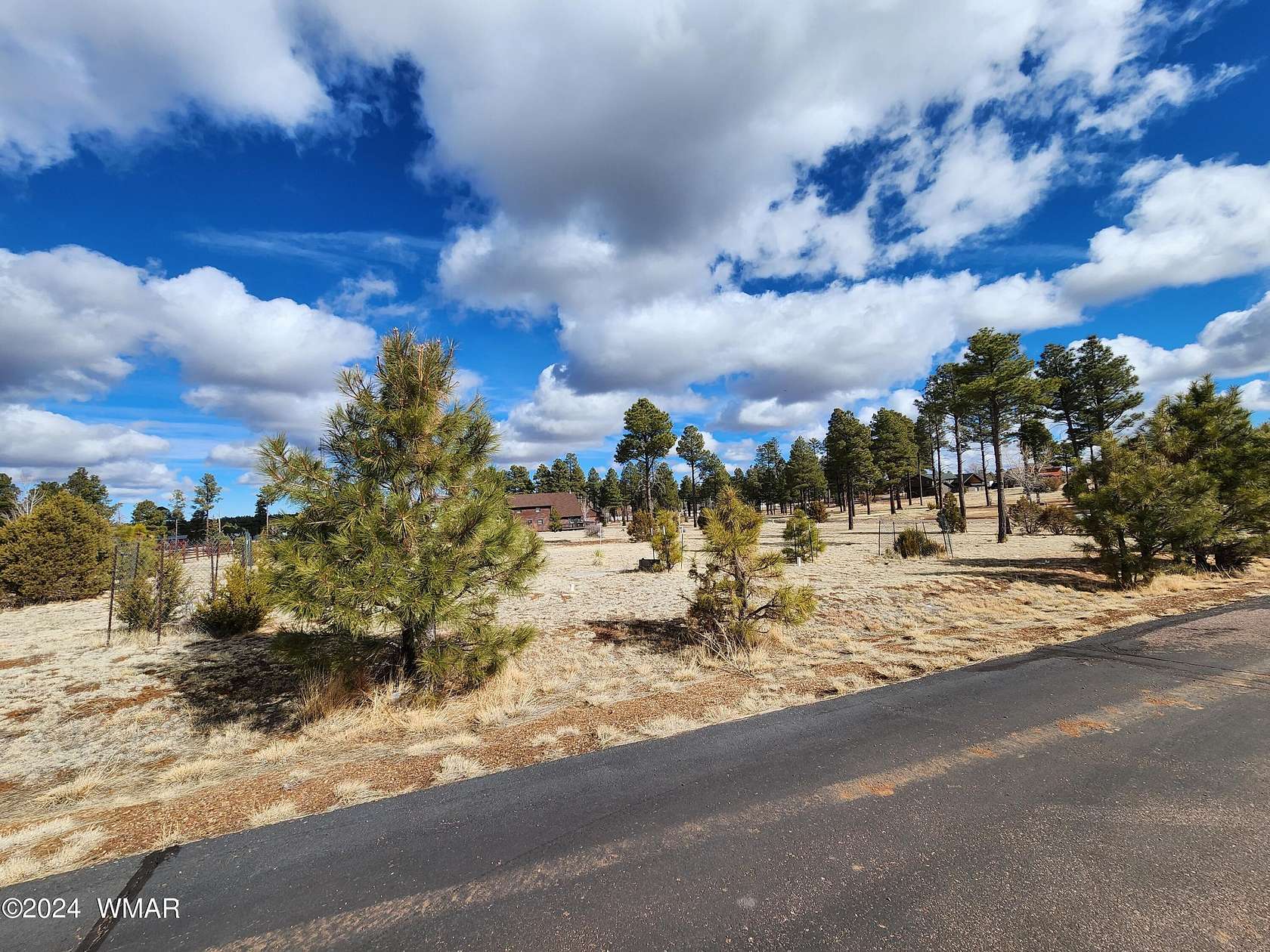 1 Acre of Residential Land for Sale in Overgaard, Arizona