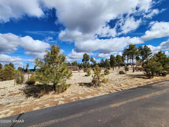 1 Acres of Residential Land for Sale in Overgaard, Arizona
