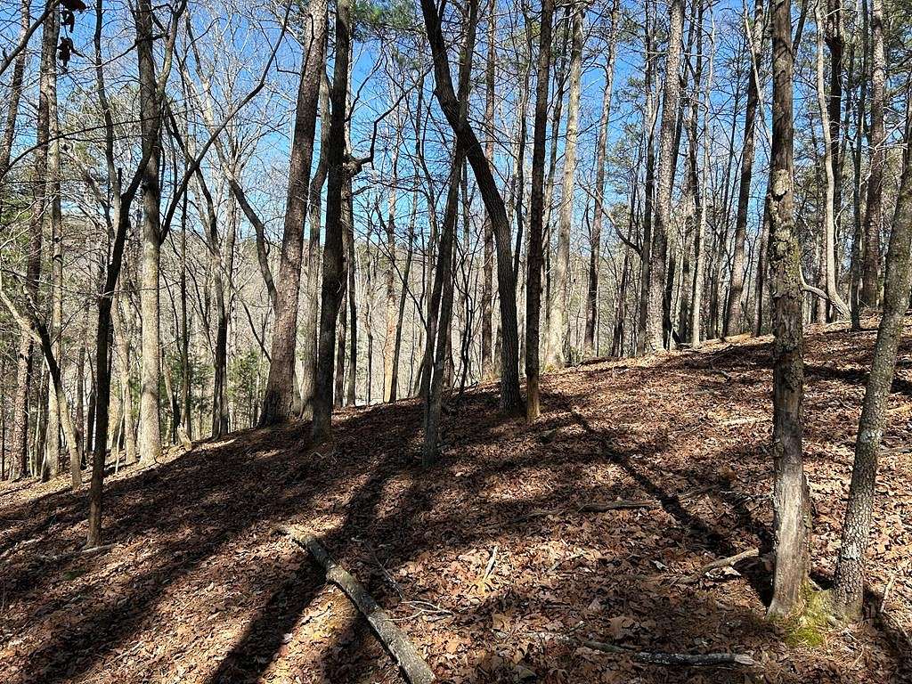 0.38 Acres of Residential Land for Sale in Ellijay, Georgia