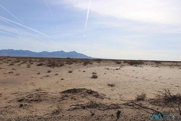 80 Acres of Land for Sale in Deming, New Mexico