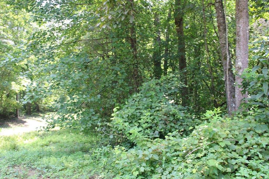 10 Acres of Recreational Land for Sale in Mineral Bluff, Georgia
