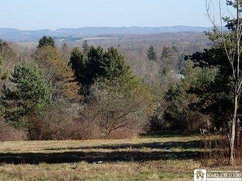 29 Acres of Recreational Land & Farm for Sale in Busti, New York
