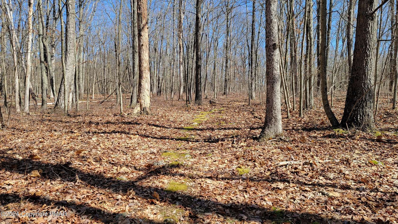 104 Acres of Recreational Land for Sale in Canadensis, Pennsylvania