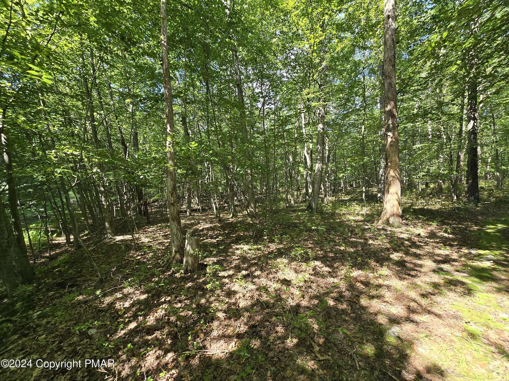 104 Acres of Recreational Land for Sale in Canadensis, Pennsylvania