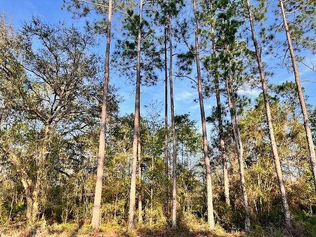 4.5 Acres of Land for Sale in Starke, Florida