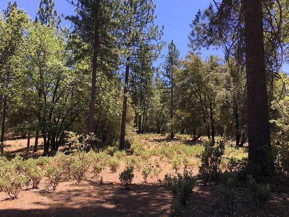 9.8 Acres of Recreational Land for Sale in Rail Road Flat, California
