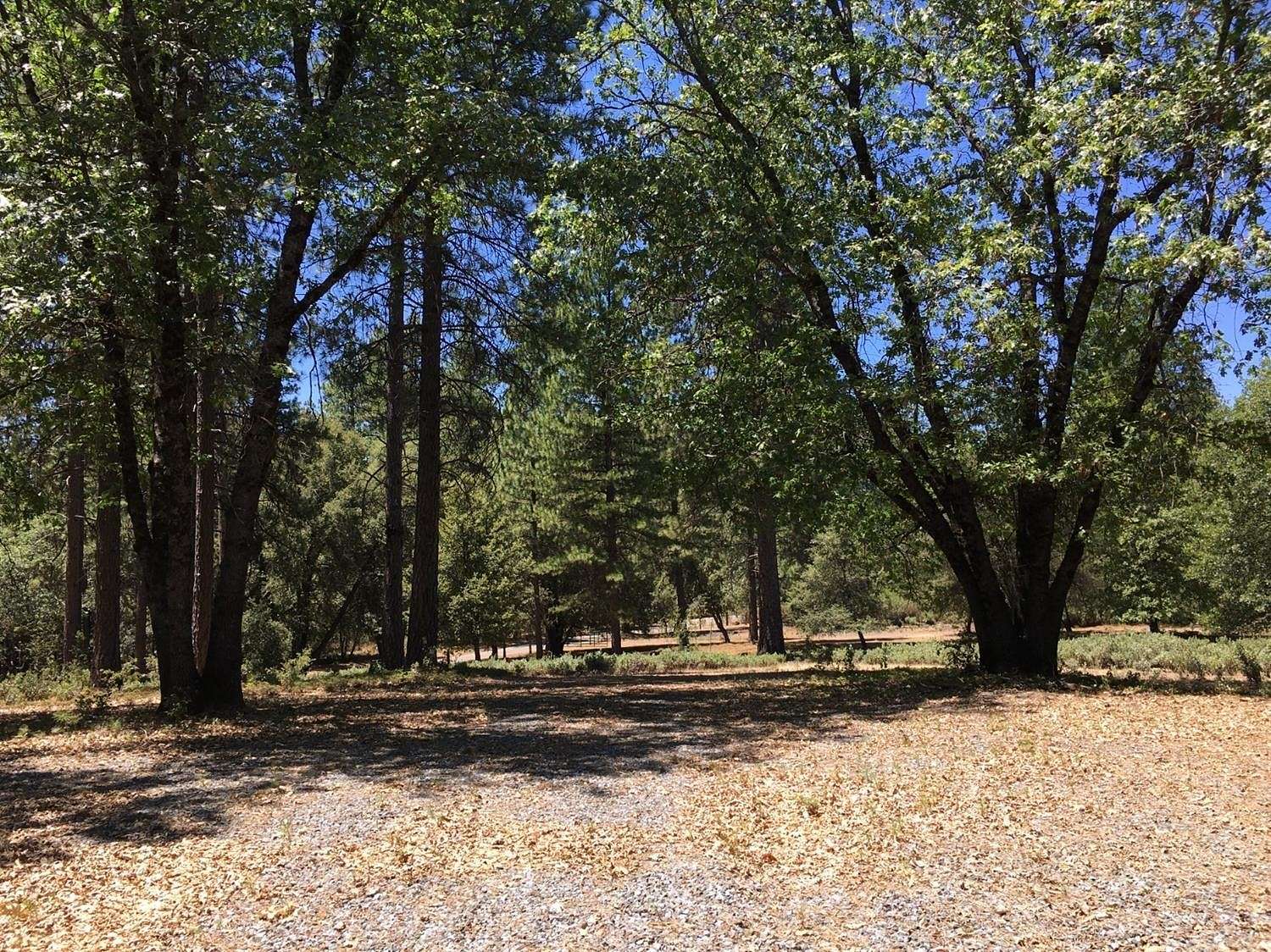 10.1 Acres of Recreational Land for Sale in Rail Road Flat, California