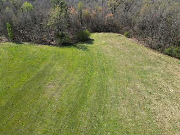 35.3 Acres of Land for Sale in Pottsville, Arkansas