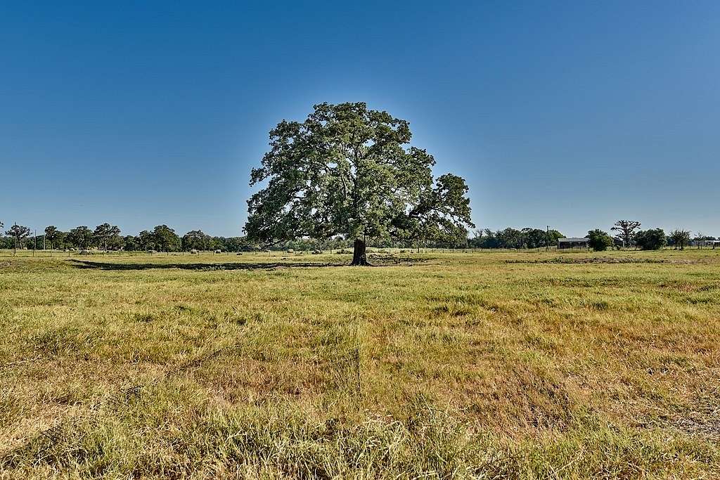 43.19 Acres of Recreational Land & Farm for Sale in Paige, Texas