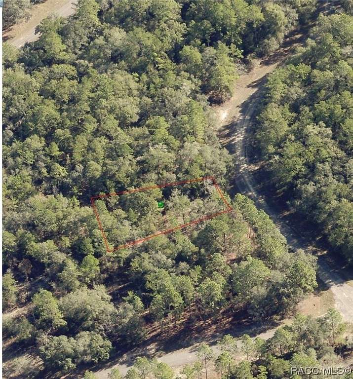 0.3 Acres of Land for Sale in Citrus Springs, Florida