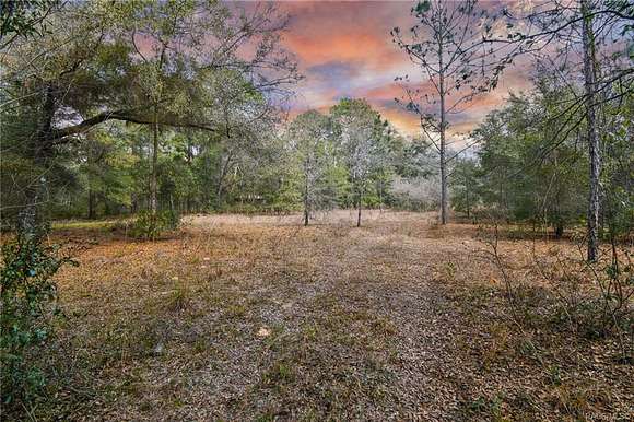 4.9 Acres of Residential Land for Sale in Lecanto, Florida