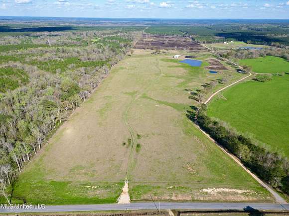 156 Acres of Agricultural Land for Sale in Poplarville, Mississippi
