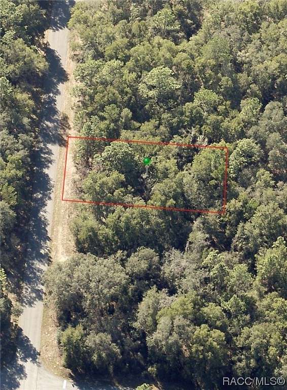 0.35 Acres of Land for Sale in Citrus Springs, Florida