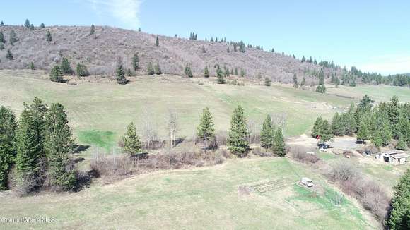 20 Acres of Agricultural Land for Sale in Plummer, Idaho