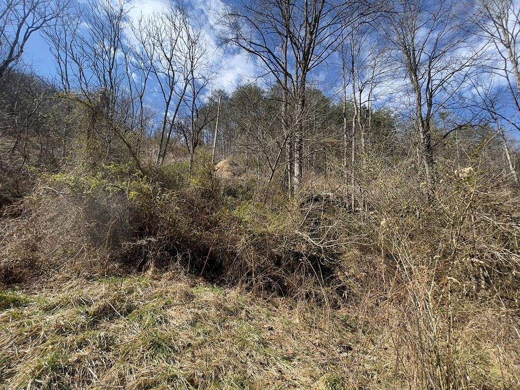 66.2 Acres of Land for Sale in Harold, Kentucky