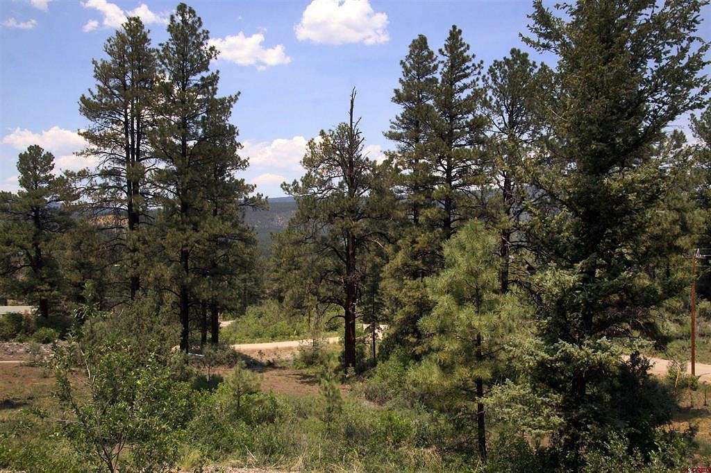 1.3 Acres of Residential Land for Sale in Pagosa Springs, Colorado