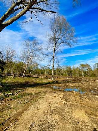 95.8 Acres of Land for Sale in Tylertown, Mississippi
