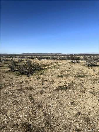 10 Acres of Agricultural Land for Sale in Helendale, California
