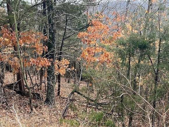 0.76 Acres of Residential Land for Sale in Holiday Island, Arkansas