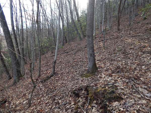1.38 Acres of Residential Land for Sale in Maggie Valley, North Carolina