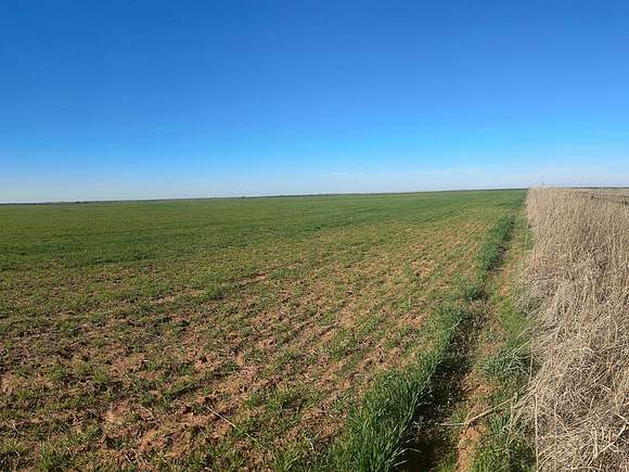 160 Acres of Agricultural Land for Sale in Grandfield, Oklahoma