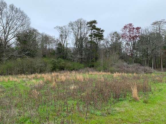 27.6 Acres of Land for Sale in Slocomb, Alabama