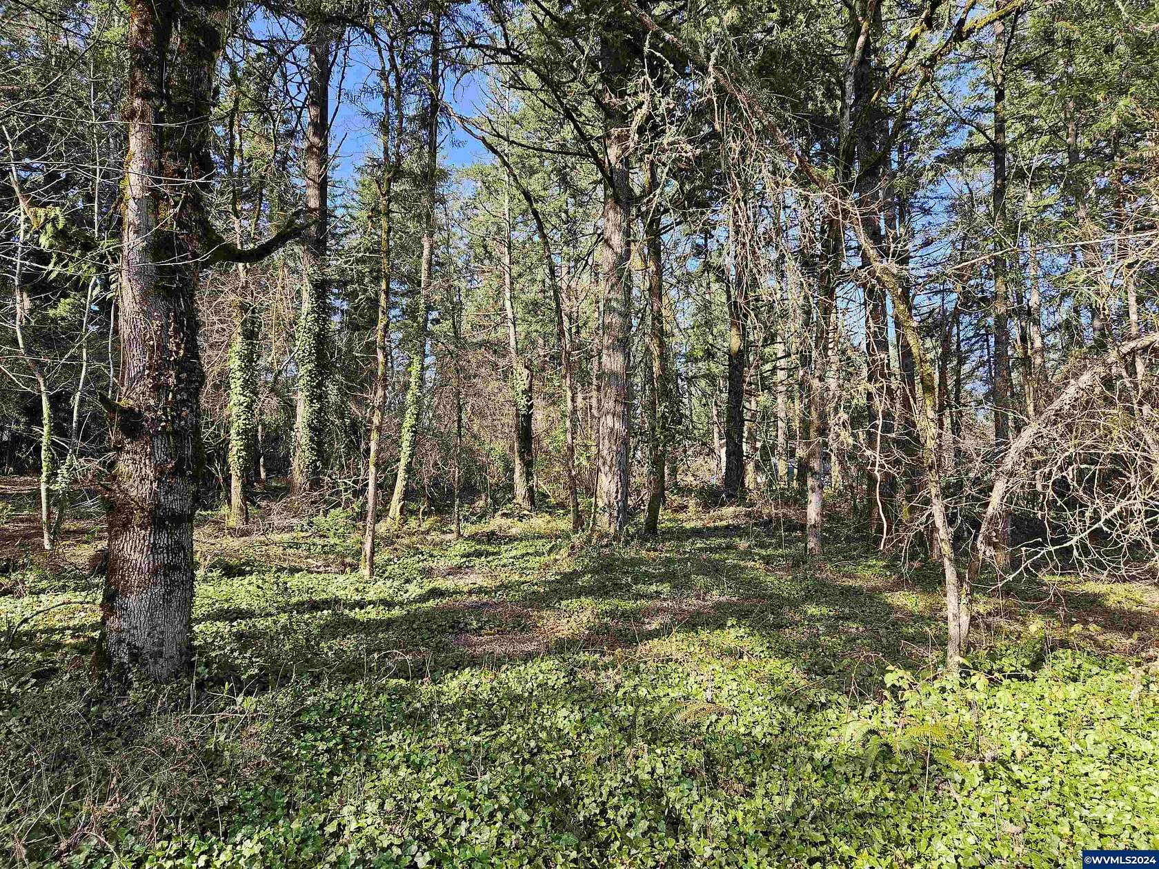 0.32 Acres of Residential Land for Sale in Albany, Oregon