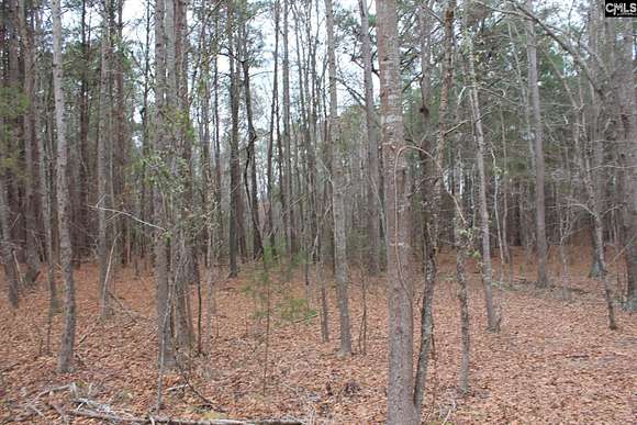 5.3 Acres of Residential Land for Sale in Leesville, South Carolina