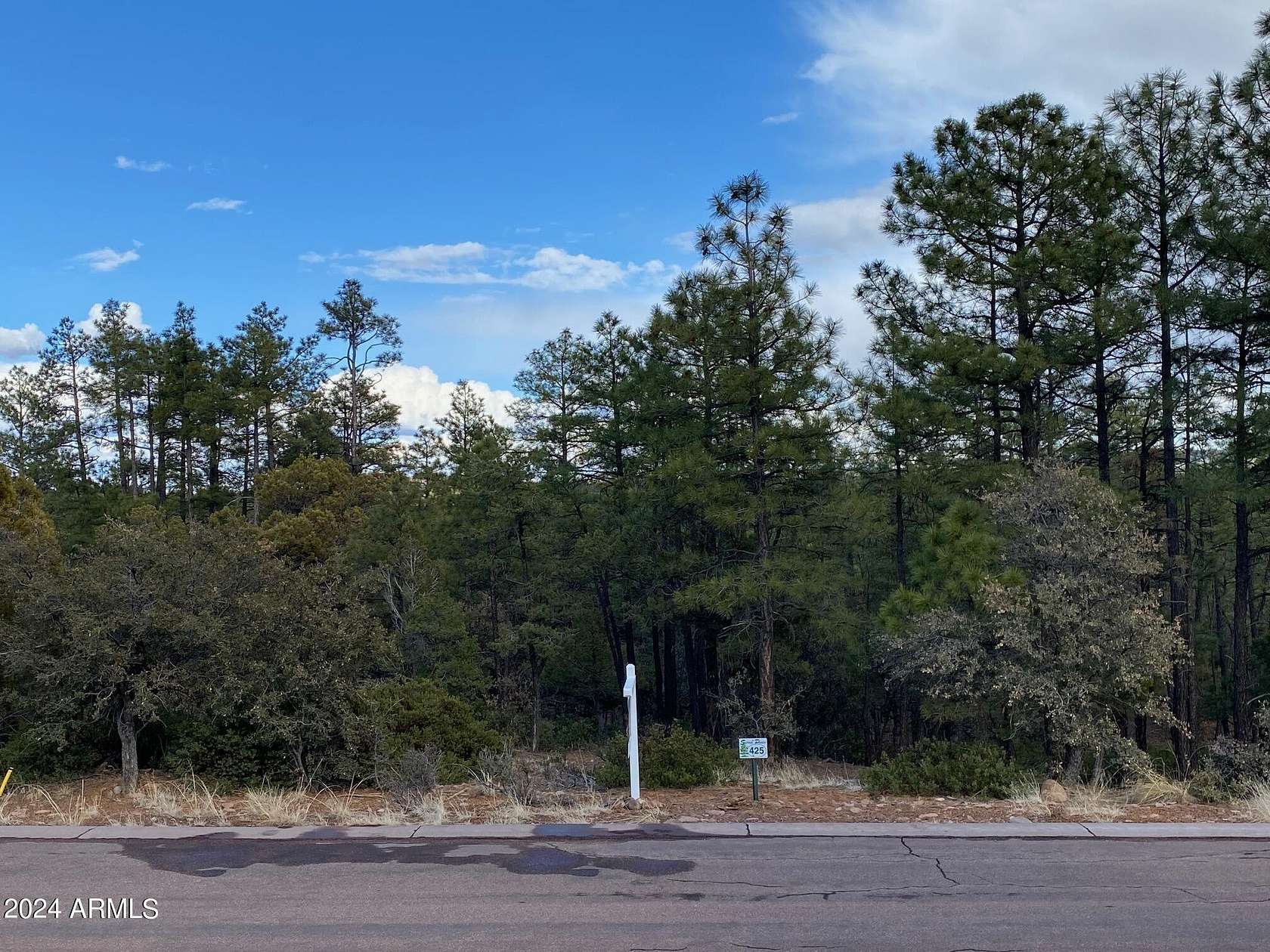 1.2 Acres of Residential Land for Sale in Show Low, Arizona