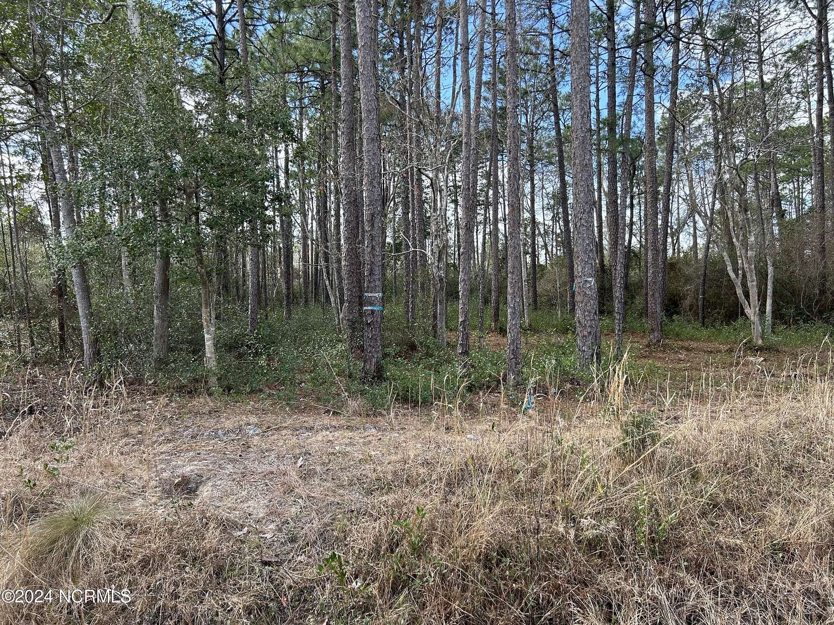 0.24 Acres of Residential Land for Sale in Boiling Spring Lakes, North Carolina