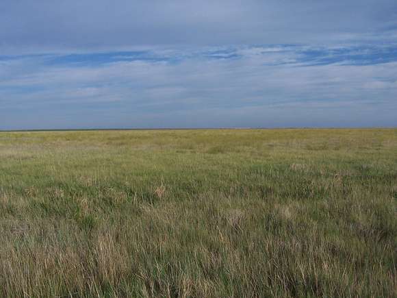 2,900 Acres of Land for Sale in Eads, Colorado
