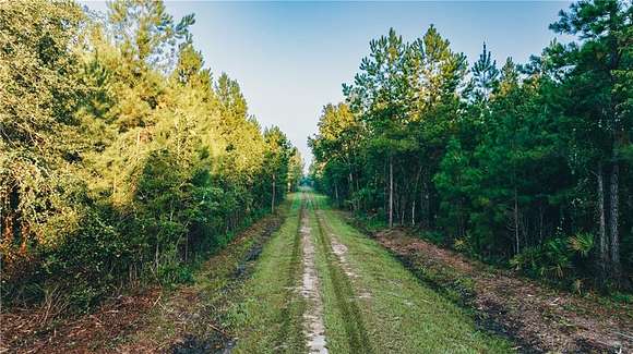 378 Acres of Recreational Land for Sale in Brunswick, Georgia