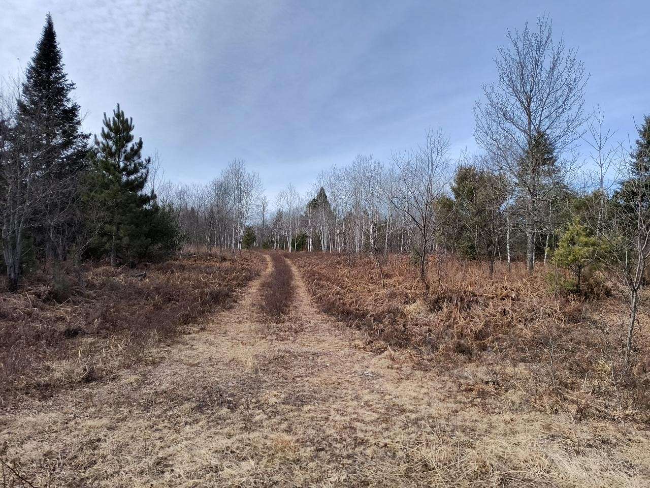 80 Acres of Recreational Land for Sale in Iron River, Michigan