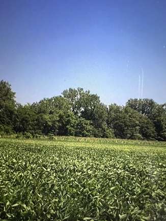 54.5 Acres of Agricultural Land for Sale in Lake Village, Indiana
