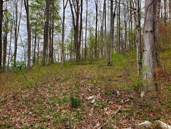 20 Acres of Land for Sale in Big Stone Gap, Virginia